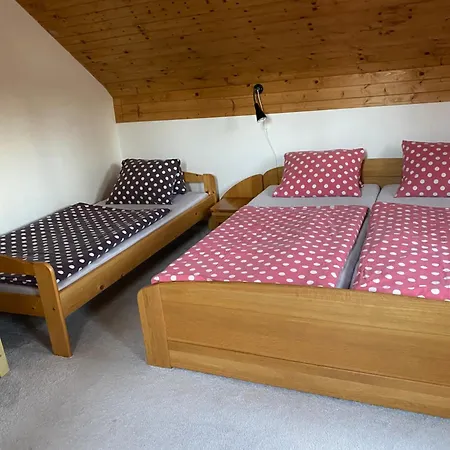 Apartman U Vleku Ceske Petrovice 外观 照片